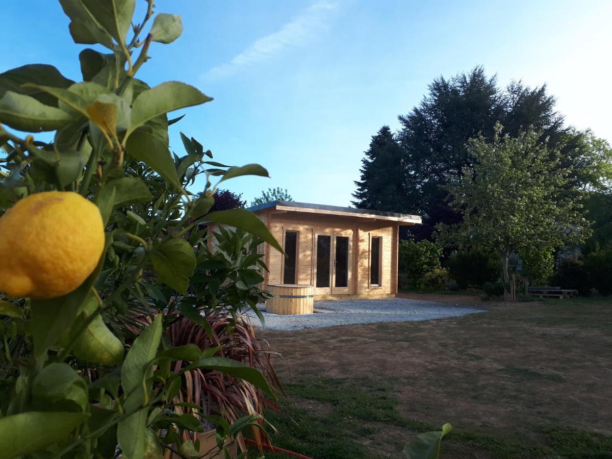 Gite "Le Mesminois" Etablissement Avec Espace Bien-Etre Et Sauna Saint-Mesmin  Екстер'єр фото