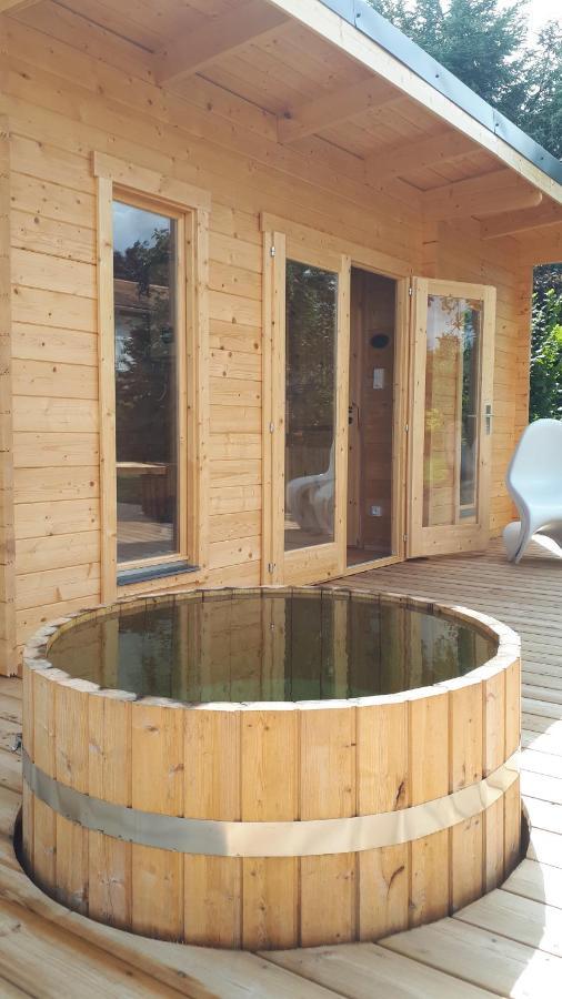 Gite "Le Mesminois" Etablissement Avec Espace Bien-Etre Et Sauna Saint-Mesmin  Екстер'єр фото